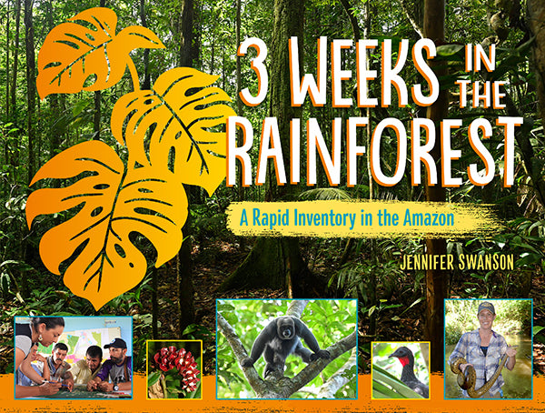 3-weeks-in-the-rainforest