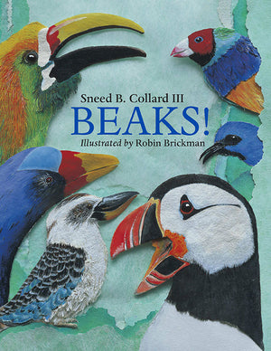 Beaks! book cover