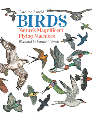 Birds: Nature's Magnificent Flying Machines book cover