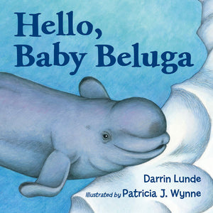 Hello, Baby Beluga Board Book cover