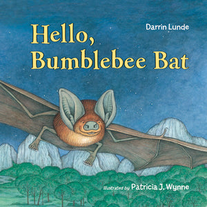 Hello, Bumblebee Bat Board Book cover