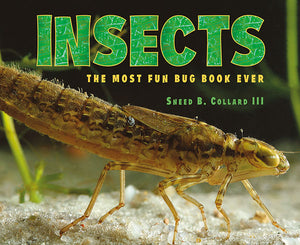 Insects book cover