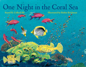 One Night in the Coral Sea book cover