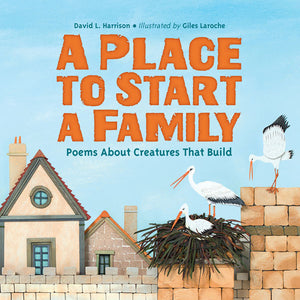 A Place to Start a Family book cover image